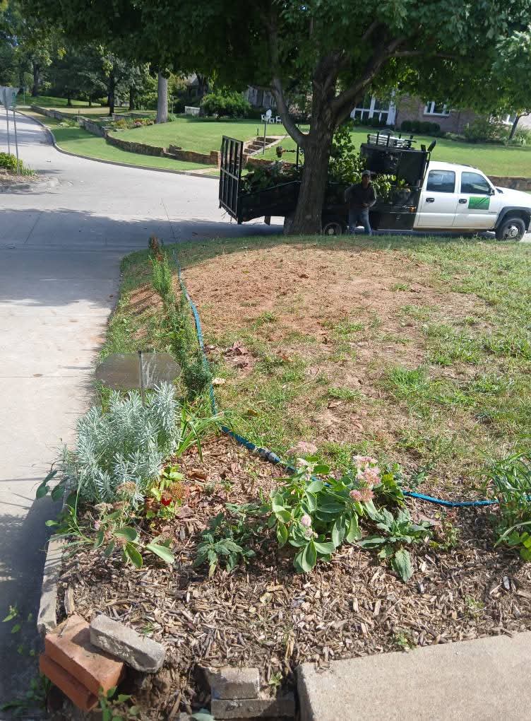 Tree Trimming Removal
